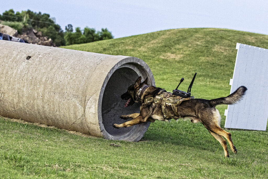 El equipo K9 XR en acción